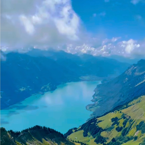 Meet your Posher, Coco - Picture 1 of 1